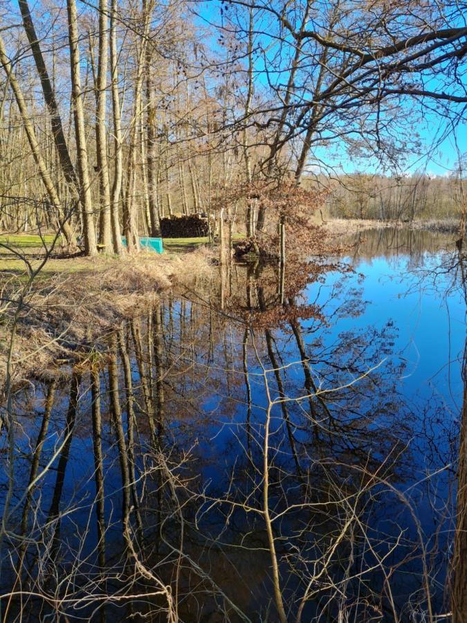 4 Sterne-Haus Am See Βάρεν Εξωτερικό φωτογραφία